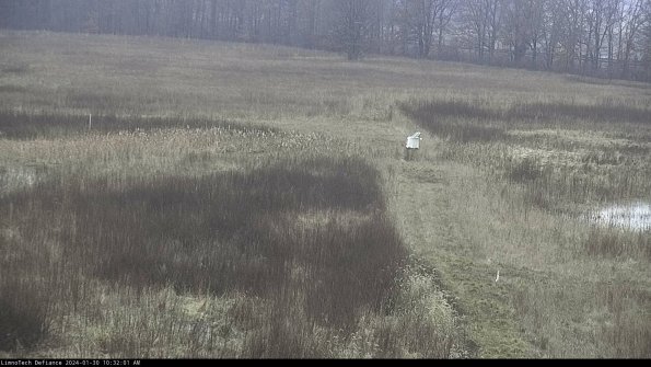 Cell 1 to 2_24-01-30_10-32-01-91