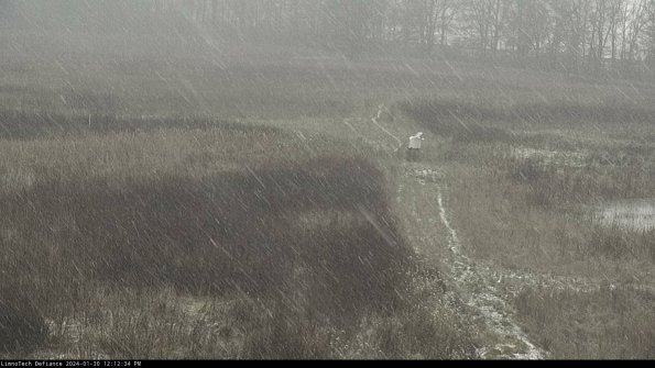 Cell 1 to 2_24-01-30_12-12-34-92