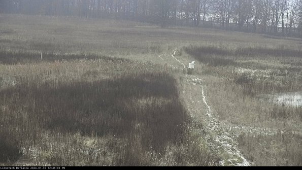 Cell 1 to 2_24-01-30_12-46-06-94