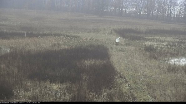 Cell 1 to 2_24-01-30_14-26-32-94