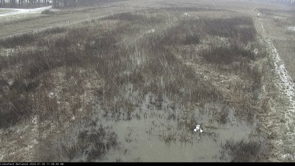 Cell 1_24-01-30_11-38-49-93