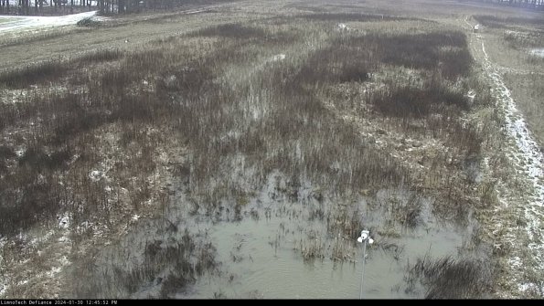 Cell 1_24-01-30_12-45-52-92