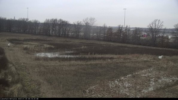 Cell 2_24-01-30_08-18-20-98