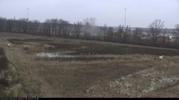 Cell 2_24-01-30_09-25-16-97