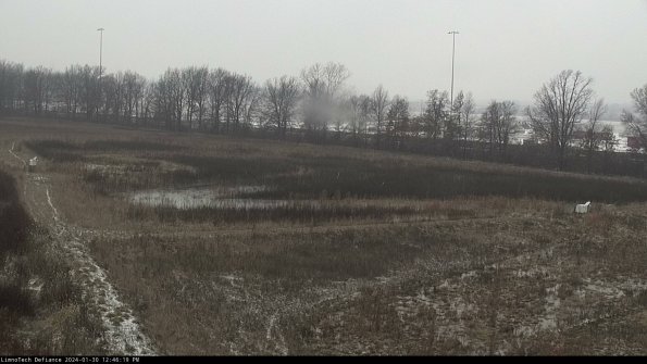 Cell 2_24-01-30_12-46-19-98