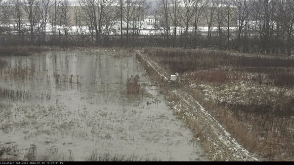 Cell 3 to 4_24-01-30_12-47-01-92