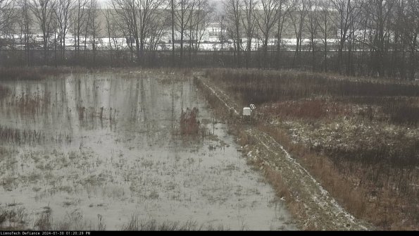 Cell 3 to 4_24-01-30_13-20-29-94