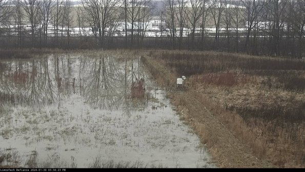 Cell 3 to 4_24-01-30_15-34-23-92