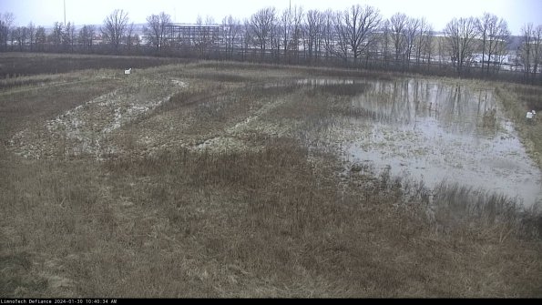 Cell 3_24-01-30_10-40-34-96