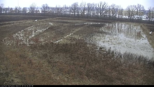 Cell 3_24-01-30_15-34-09-94