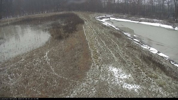 Cell 4 to Basin_24-01-30_13-21-13-91