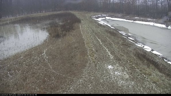 Cell 4 to Basin_24-01-30_13-54-42-93