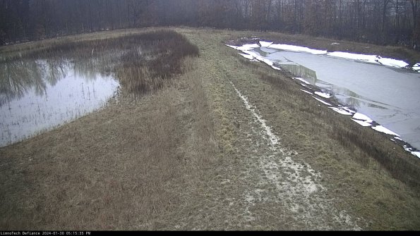 Cell 4 to Basin_24-01-30_17-15-35-94