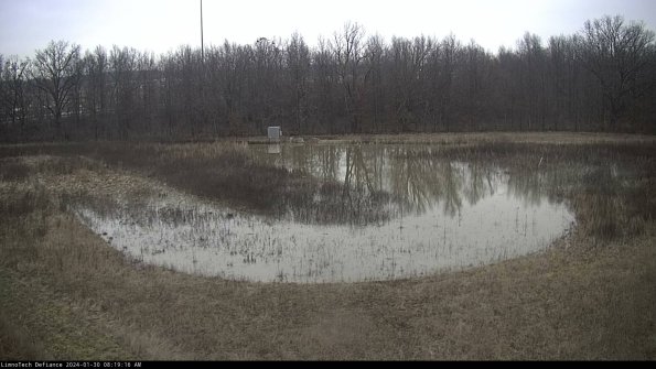 Cell 4_24-01-30_08-19-16-93