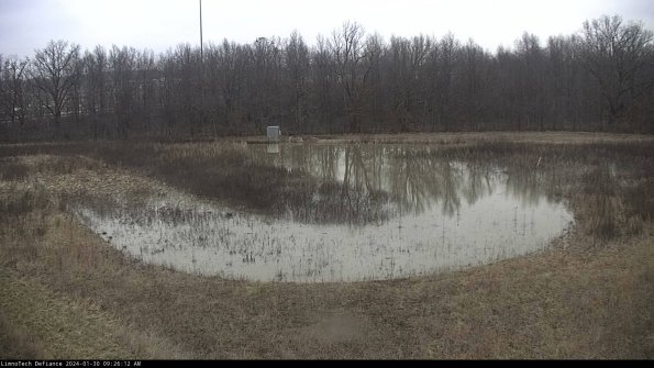 Cell 4_24-01-30_09-26-12-96