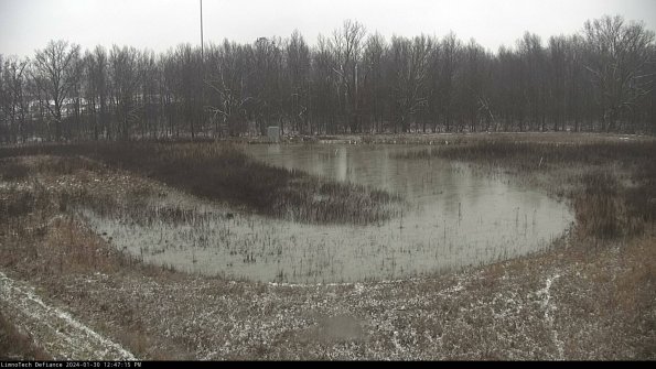 Cell 4_24-01-30_12-47-15-94