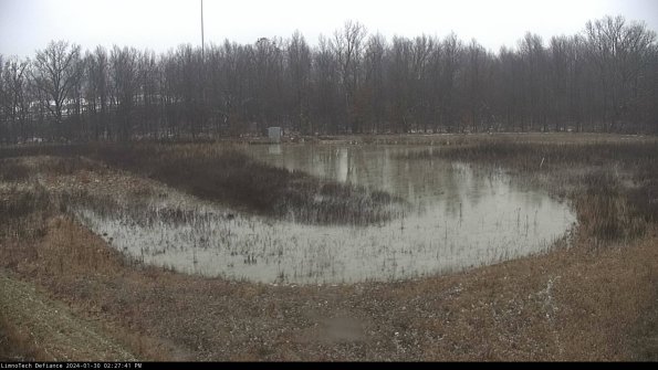 Cell 4_24-01-30_14-27-41-91