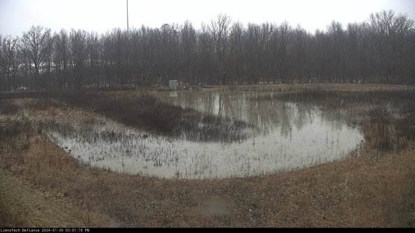 Cell 4_24-01-30_15-01-10-92