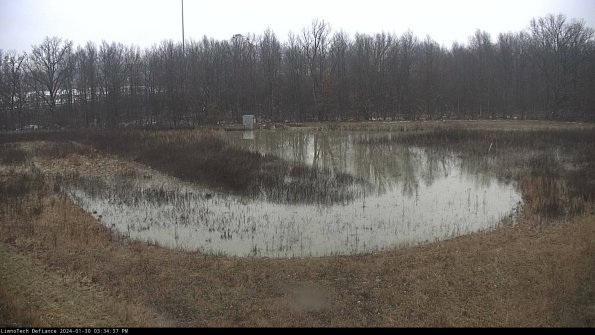 Cell 4_24-01-30_15-34-37-93