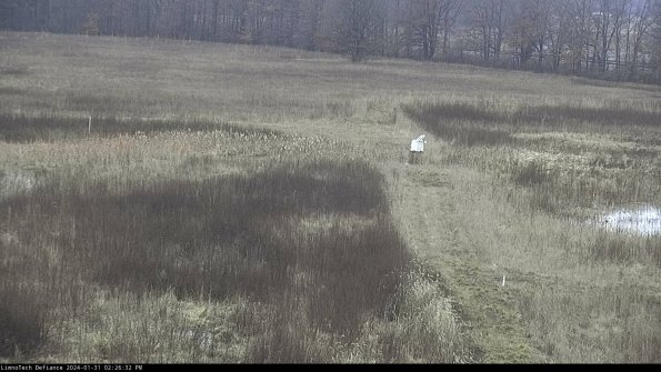 Cell 1 to 2_24-01-31_14-26-32-94