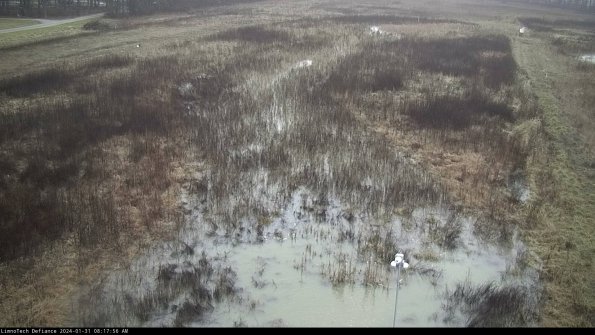 Cell 1_24-01-31_08-17-57-04