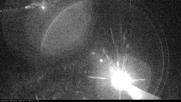 Cell 1_24-01-31_20-01-11-93