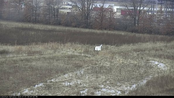 Cell 2 to 3_24-01-31_16-07-27-04