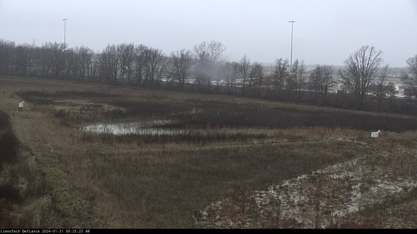 Cell 2_24-01-31_09-25-23-96