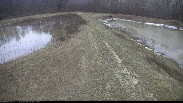 Cell 4 to Basin_24-01-31_16-42-07-93