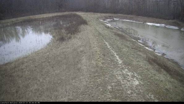 Cell 4 to Basin_24-01-31_17-49-05-96