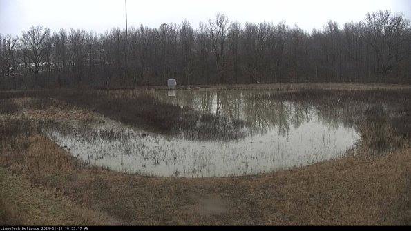 Cell 4_24-01-31_10-33-17-91