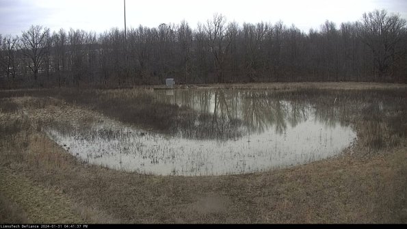 Cell 4_24-01-31_16-41-37-93