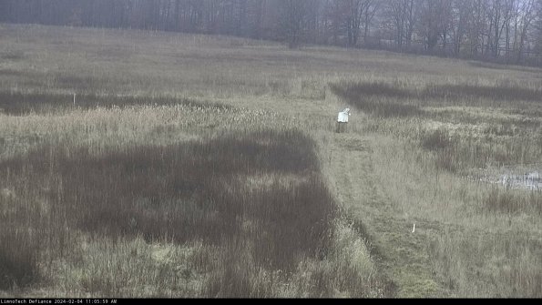 Cell 1 to 2_24-02-04_11-05-59-93