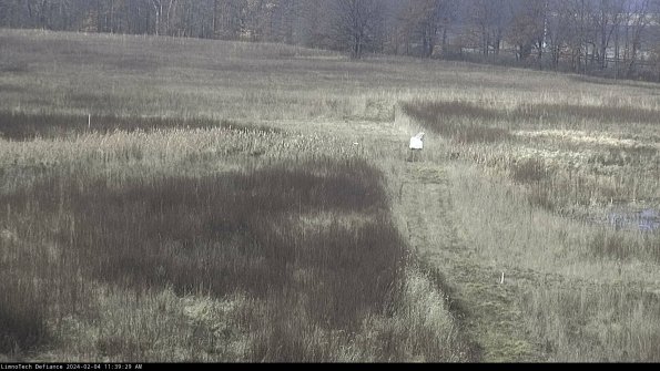 Cell 1 to 2_24-02-04_11-39-29-94