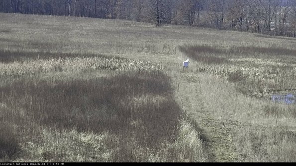 Cell 1 to 2_24-02-04_13-19-56-95