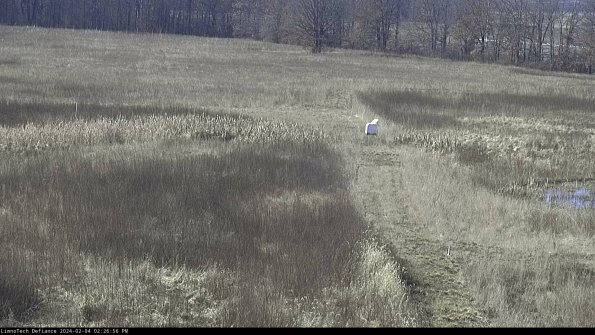 Cell 1 to 2_24-02-04_14-26-56-92