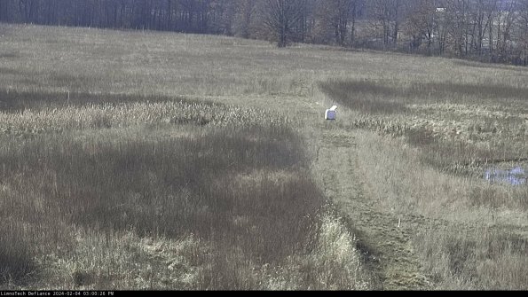 Cell 1 to 2_24-02-04_15-00-26-94