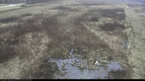 Cell 1_24-02-04_09-58-46-96