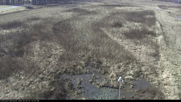 Cell 1_24-02-04_13-19-42-94