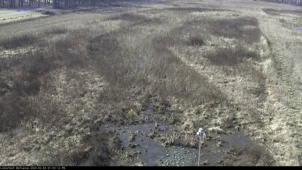 Cell 1_24-02-04_13-53-12-92