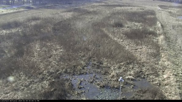 Cell 1_24-02-04_15-00-12-93