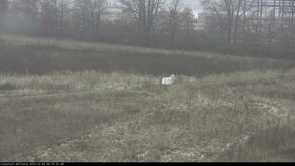 Cell 2 to 3_24-02-04_09-59-27-10