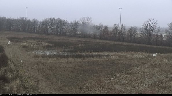 Cell 2_24-02-04_10-32-43-93