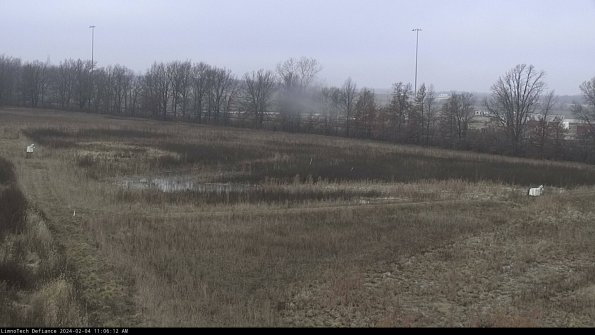 Cell 2_24-02-04_11-06-12-98