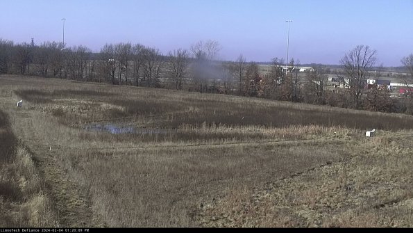 Cell 2_24-02-04_13-20-10-00