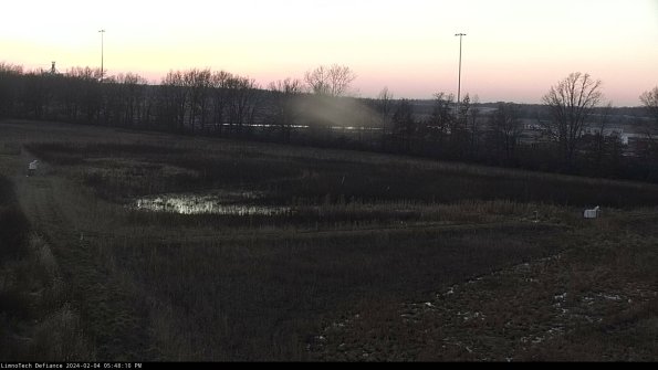 Cell 2_24-02-04_17-48-10-98