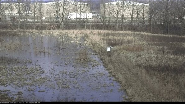 Cell 3 to 4_24-02-04_11-40-23-93