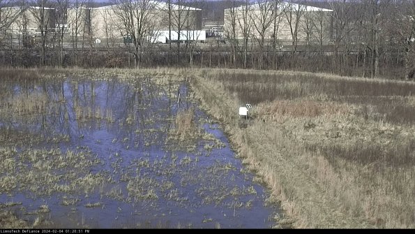 Cell 3 to 4_24-02-04_13-20-51-91