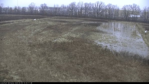 Cell 3_24-02-04_10-33-11-92