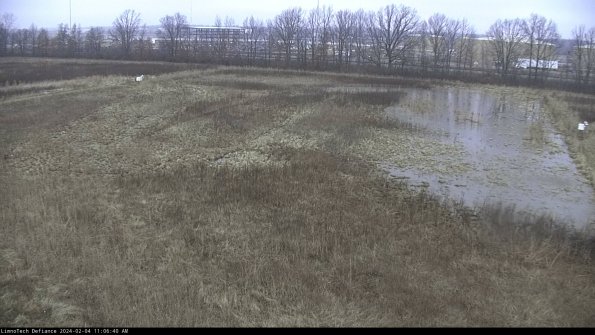 Cell 3_24-02-04_11-06-40-90